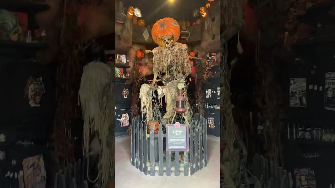 All Hallows’ Eve Boutique #universalorlando #islandofadventure #shorts