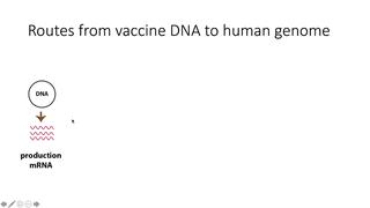 Routes from Vaccine DNA to Human Genome