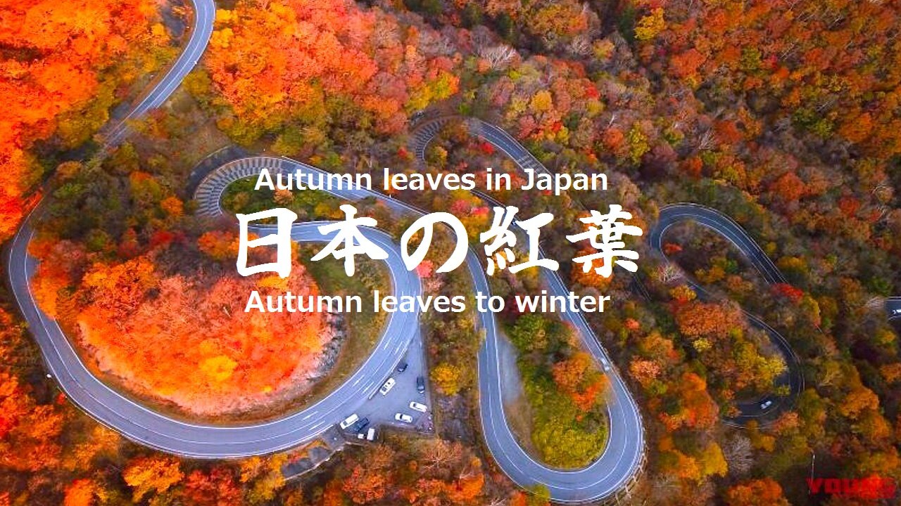 90.Autumn leaves in Japan