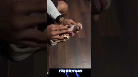 Man saves newborn puppy by doing CPR