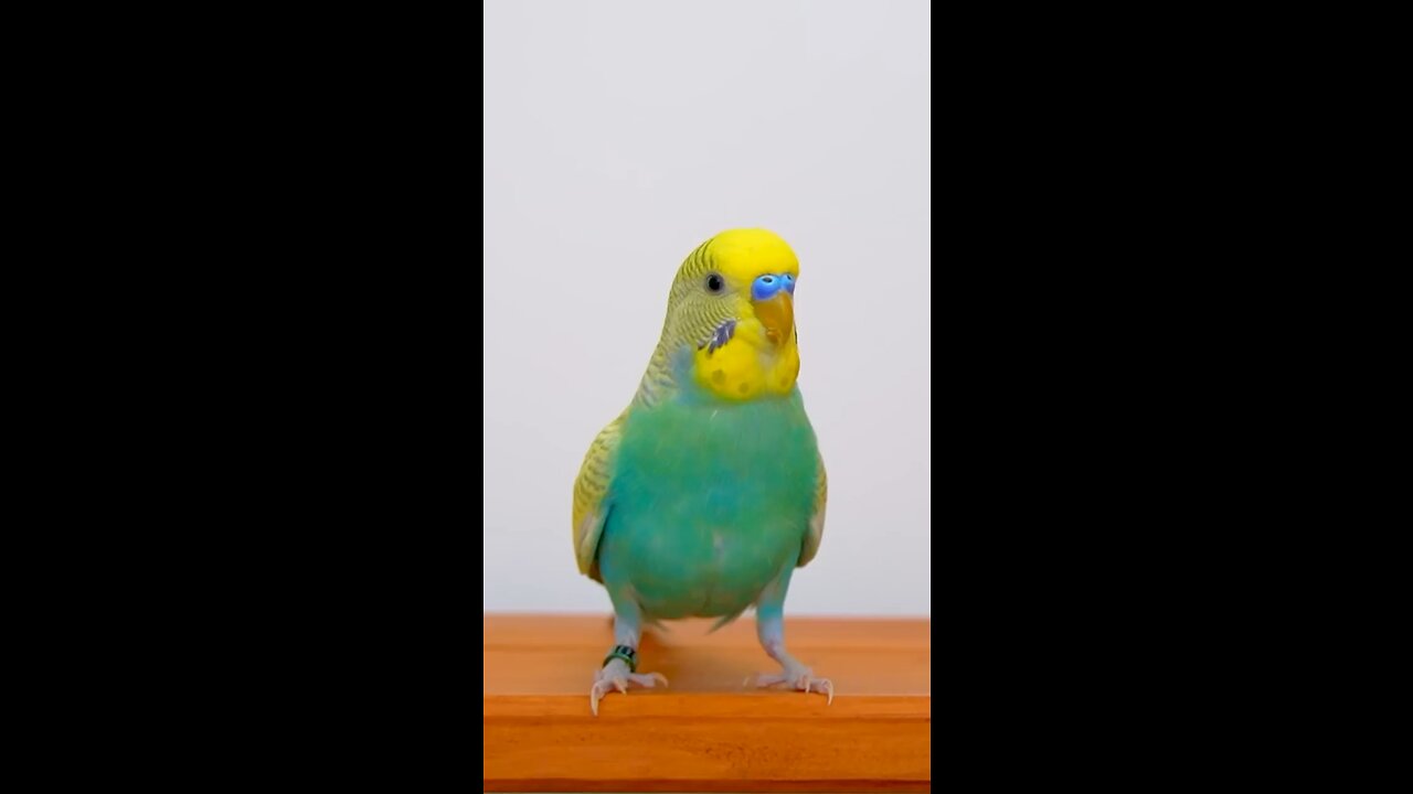 Cute