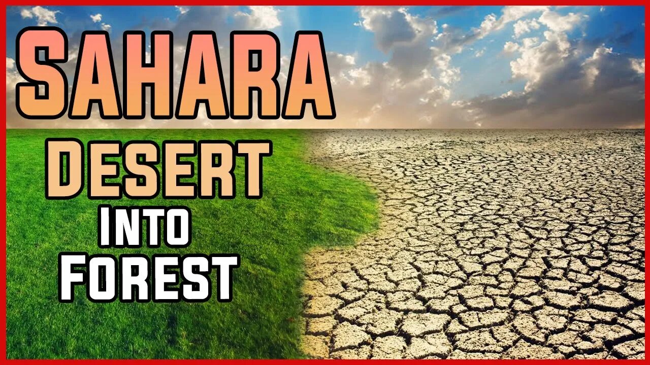 Turning Sahara Desert Into Forest