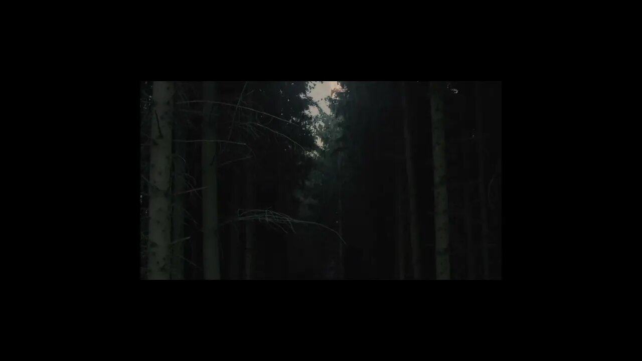 Into the Woods: Chilling Monster Creature Encounter #shorts #scary