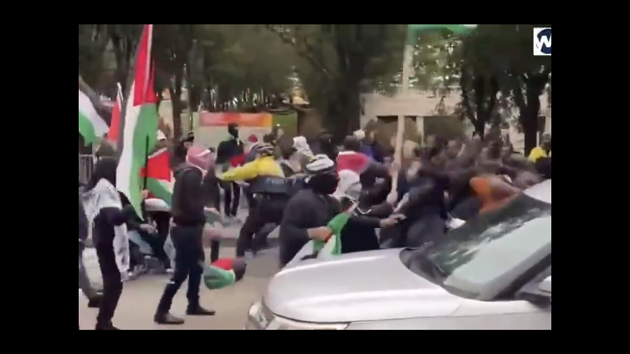 BLACK AMERICAN HEBREW ISREALITES🇺🇸🤼‍♂️🇰🇼CLASH WITH PRO-PALESTINIAN PROTESTERS IN CHICAGO🇺🇸🤼‍♂️🇰🇼🚔💫