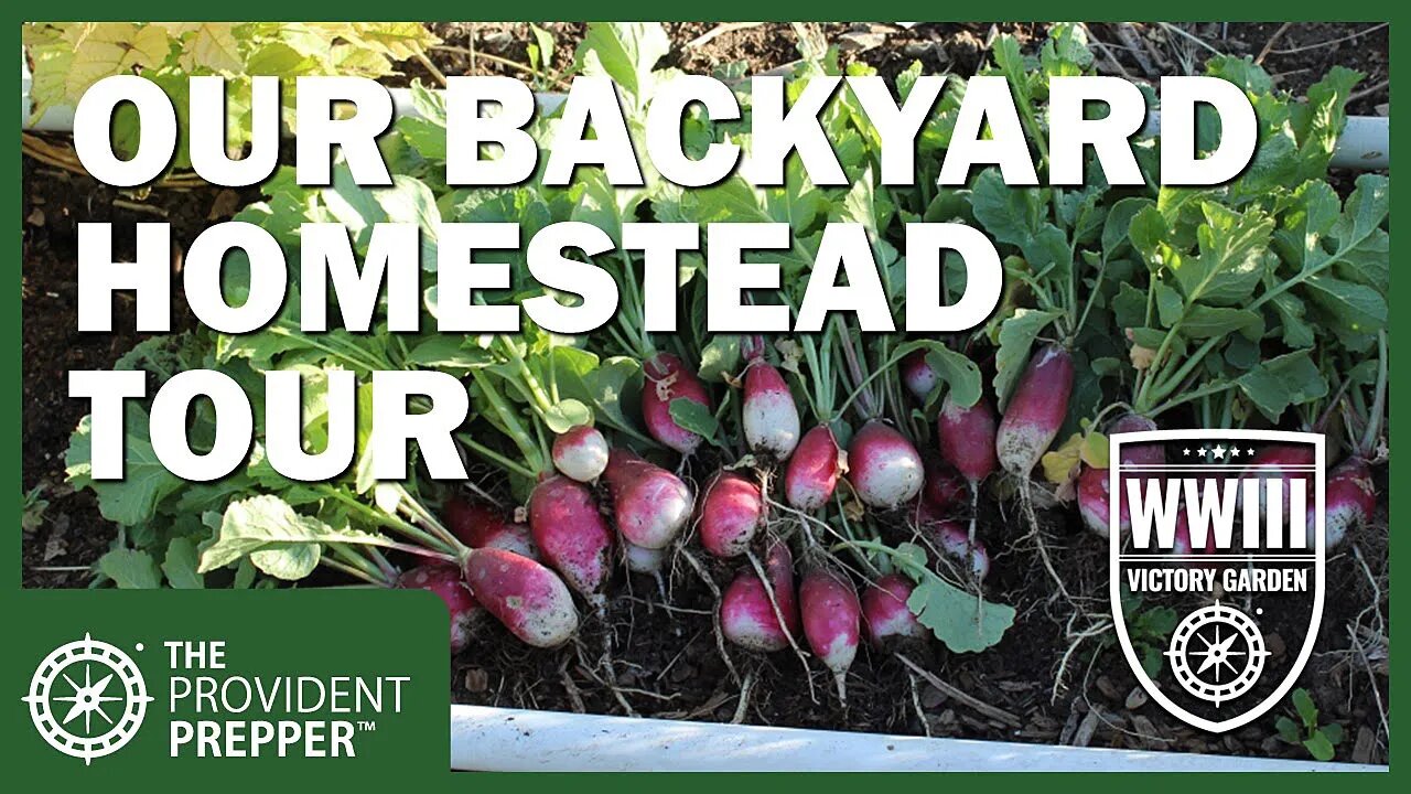 WWIII Victory Garden: Mid-June Tour of the Provident Preppers' Backyard Homestead