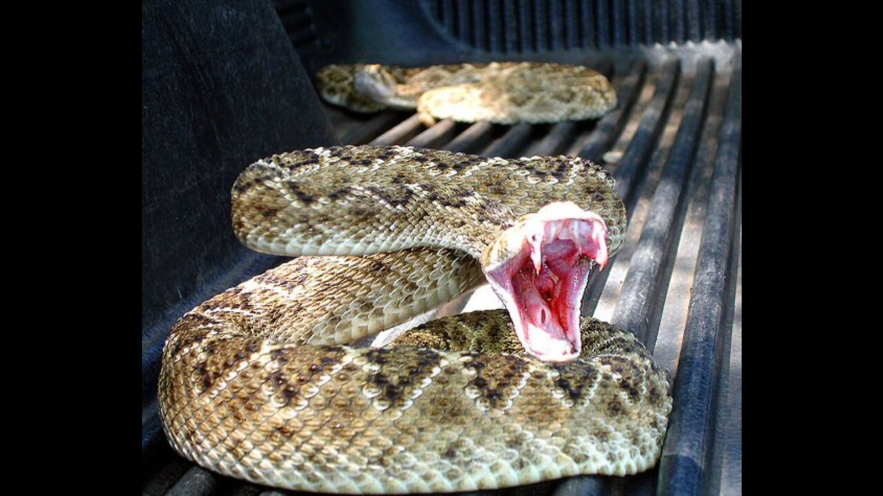 It's Time To Be Terrified