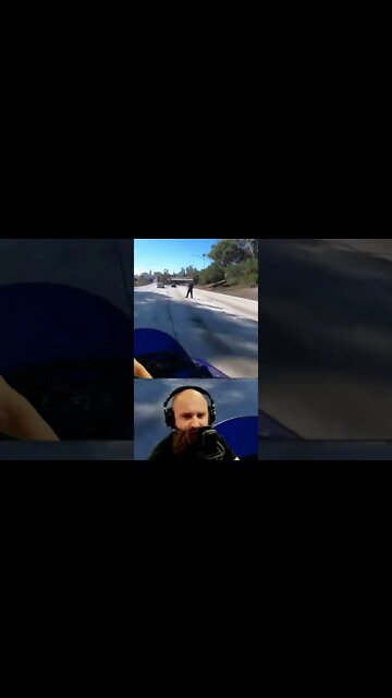 Freeway Jaywalking Dum Dum