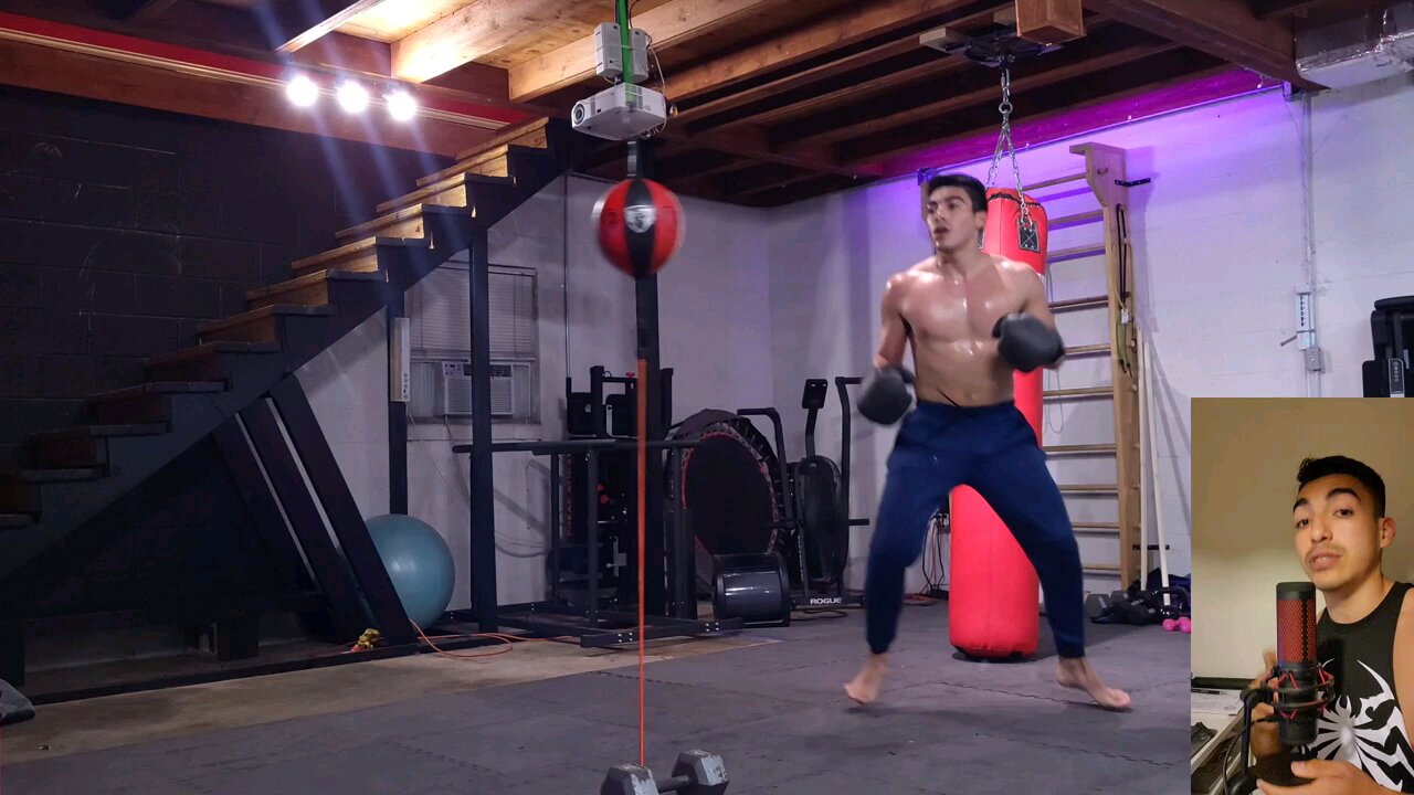 VIDIARY #4 BAG WORK