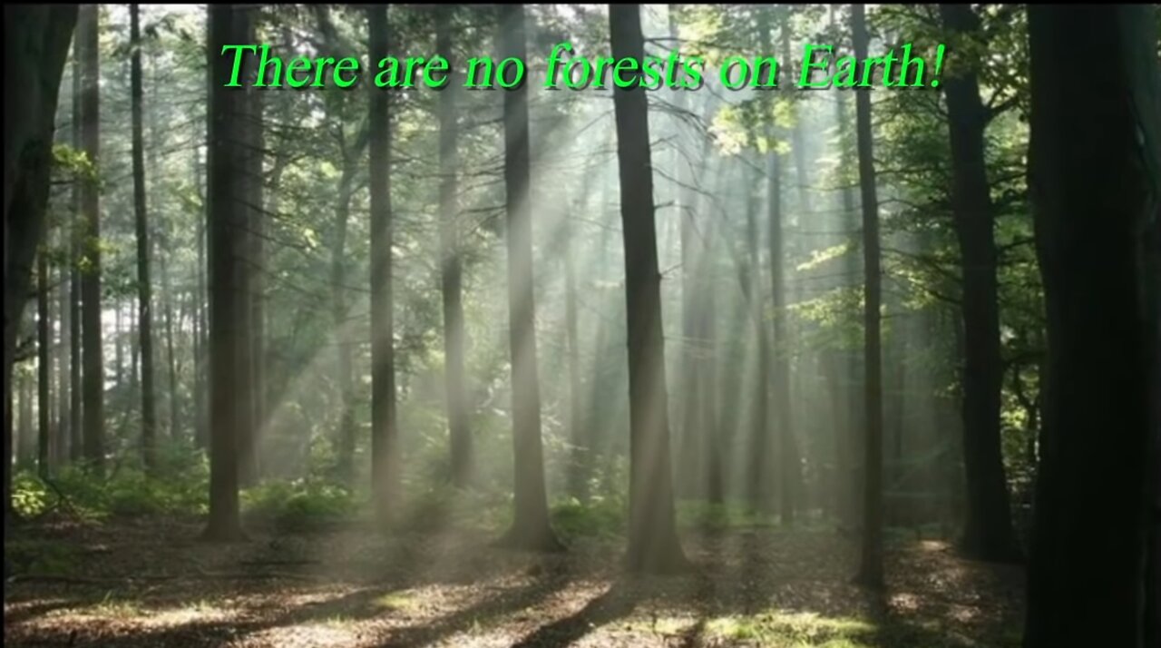 THERE ARE NO FORESTS ON FLAT EARTH WAKE UP! (TREES ARE FAKE ON FLATTARD EARTH)