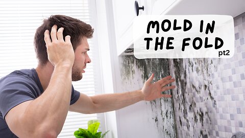 No Mold in the Fold (p2) - Pastor Justin, Jeremy, and Will