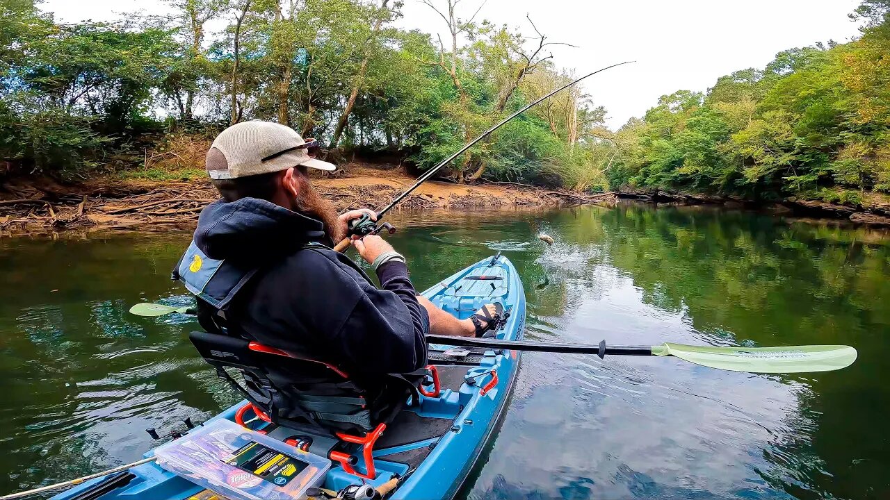 This is my NEW FAVORITE Kayak Bait!