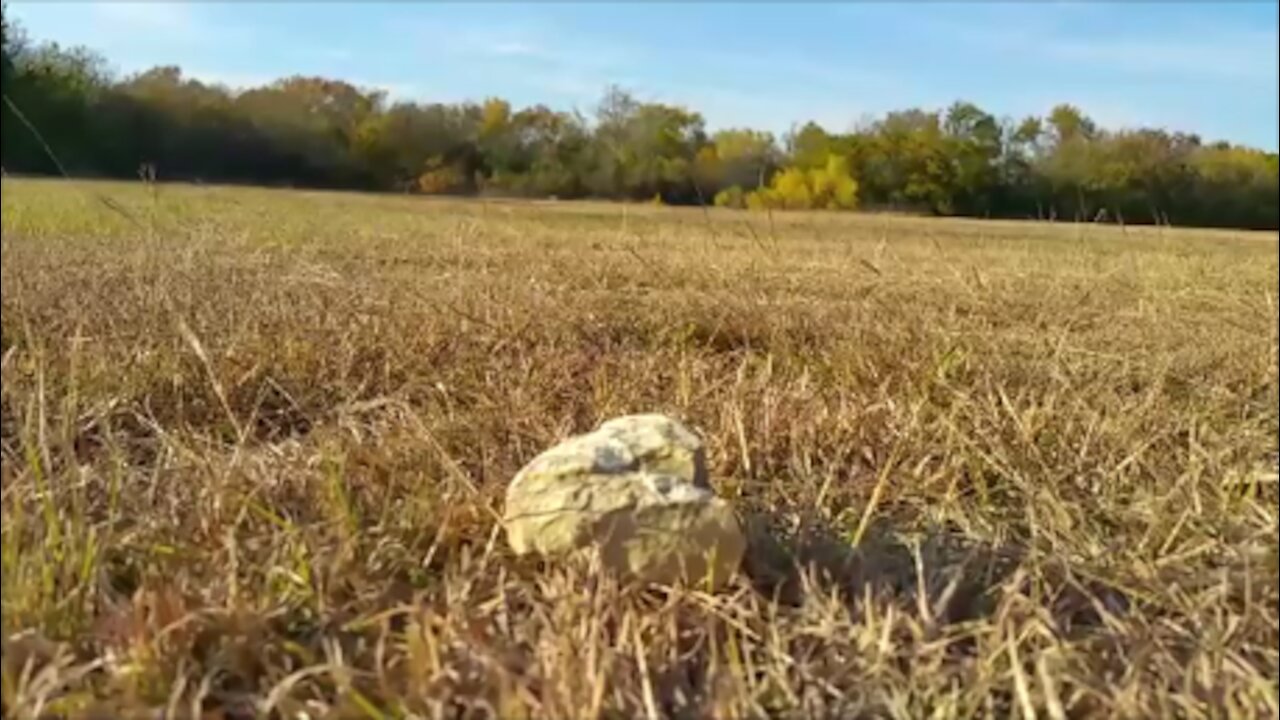 Kick In A Field