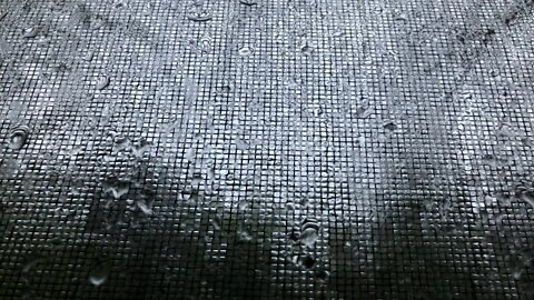 E8125D70 9F50 47C4 BD45 B25B3E513B7F