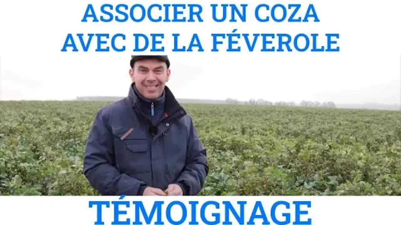 COLZA ASSOCIE Avec la féverole, une organisation facile et des résultats probants @CA17TV