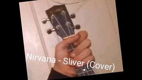 Nirvana - Sliver (Cover)