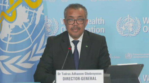 WHO Director-General pleads for intervention to prevent genocide