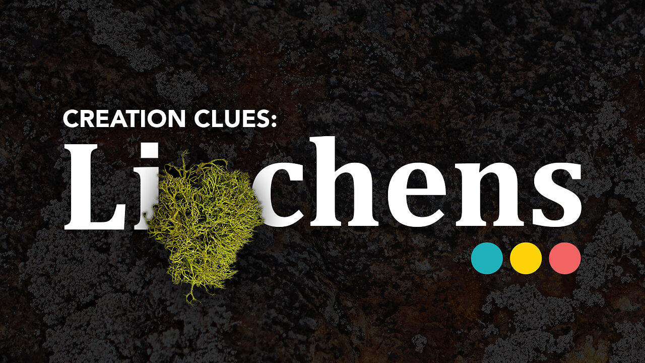 What lichens teach us about the Holy Spirit [CREATION CLUES S01E01] #christian #lichens #holyspirit