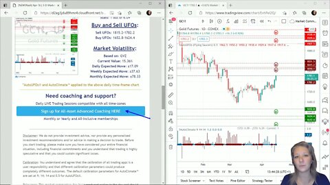 AutoUFOs 3-D Market Commentary (Becky Hayman) 2021 Apr-16