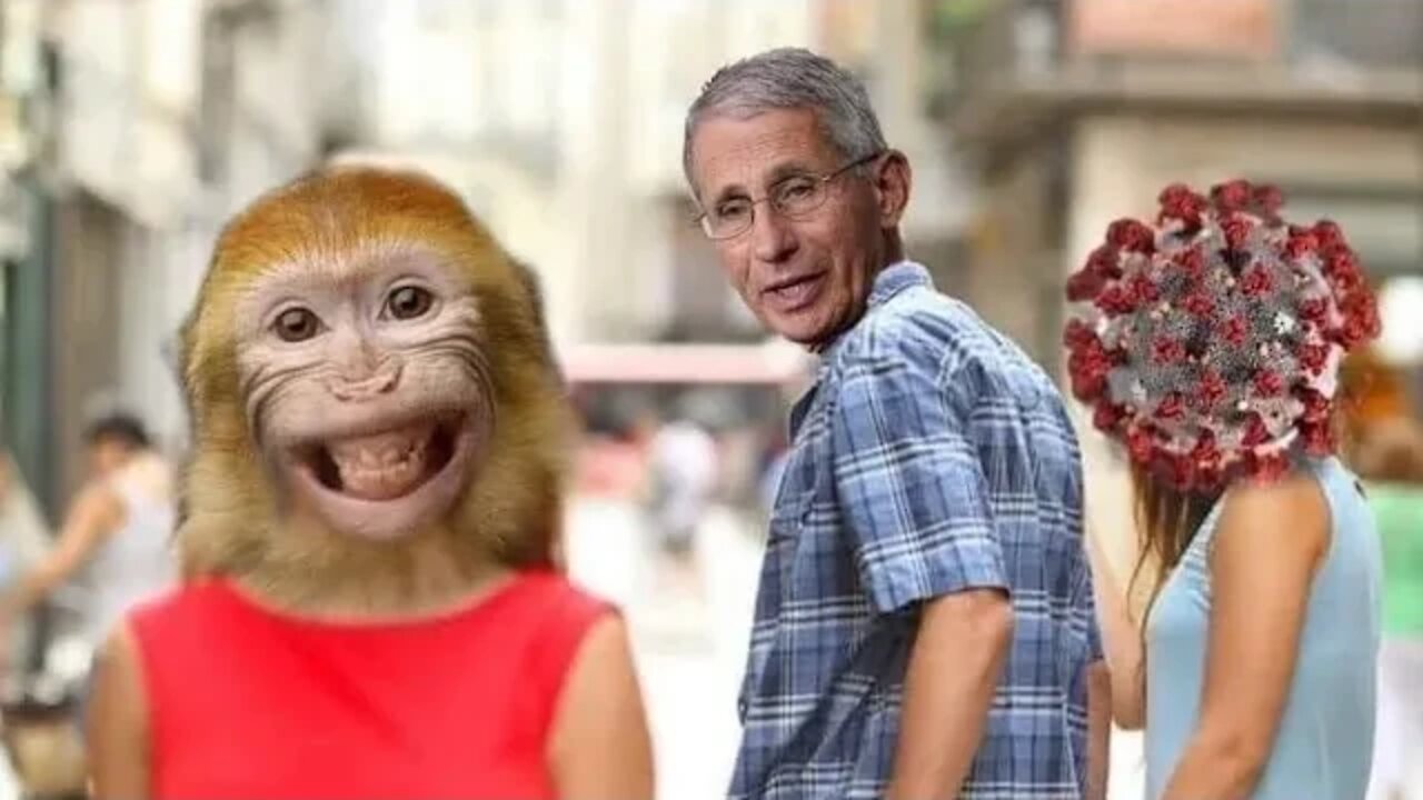 The Jokes on someone