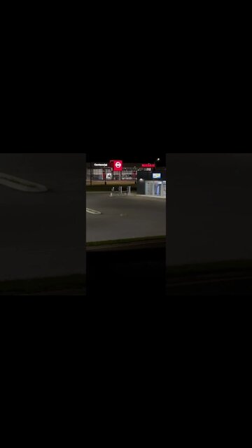 A cat roaming the streets at night