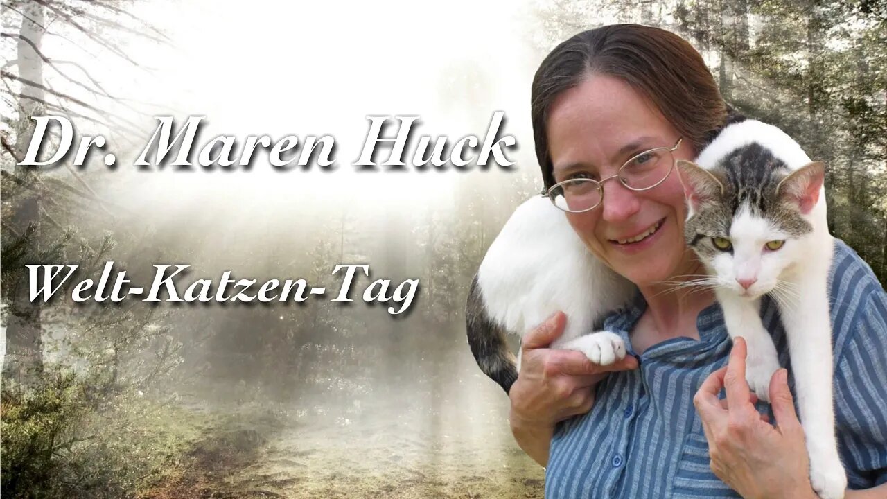 Klappernde Katzen - Dr. Maren Huck