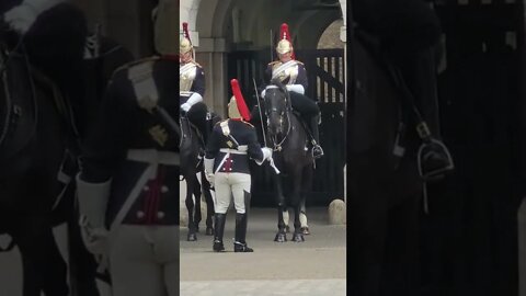 first horses of the day #horseguardsparade