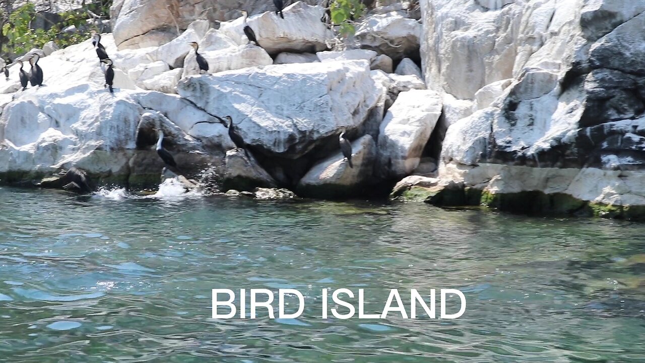 Lake Malawi holidays|Boadzulu Island|Bird Island