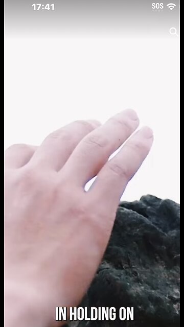 🎼🦁❤️😔🤔😔❤️🦁🎼