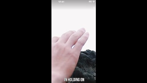 🎼🦁❤️😔🤔😔❤️🦁🎼