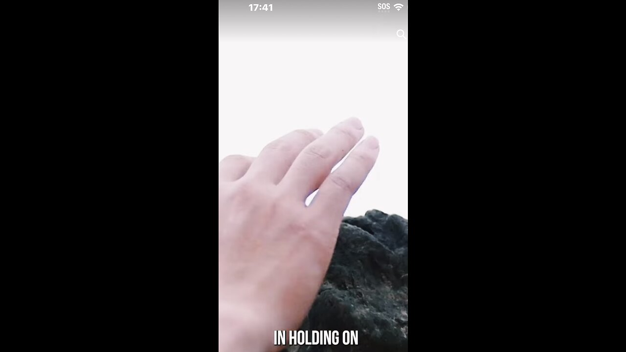 🎼🦁❤️😔🤔😔❤️🦁🎼