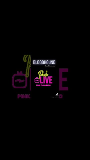 #RapConcert #BloodHound #RynzMusic #MadeInMississippi Ryan Woodcock Music