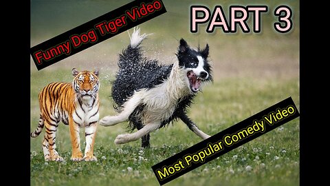 Dog Funny & fake Lion Prank To dog Best Dog Comedy Part.3