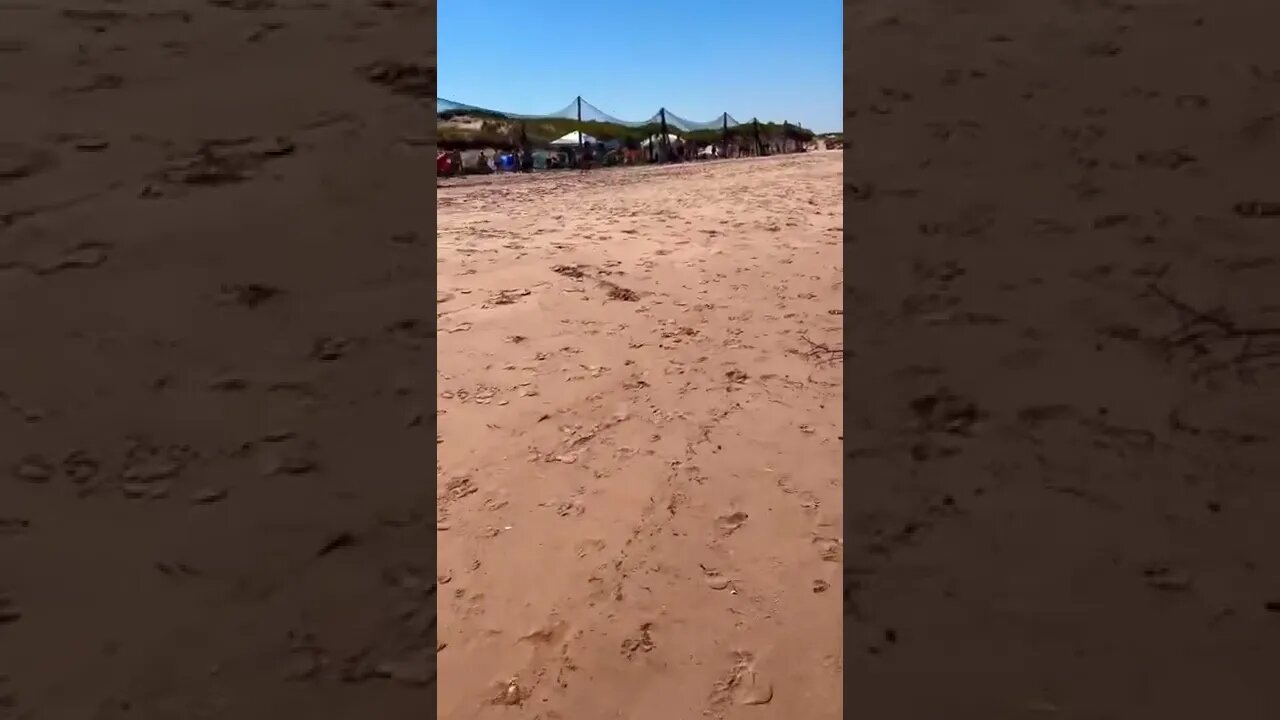 Huge dodgeball tournament at the beach