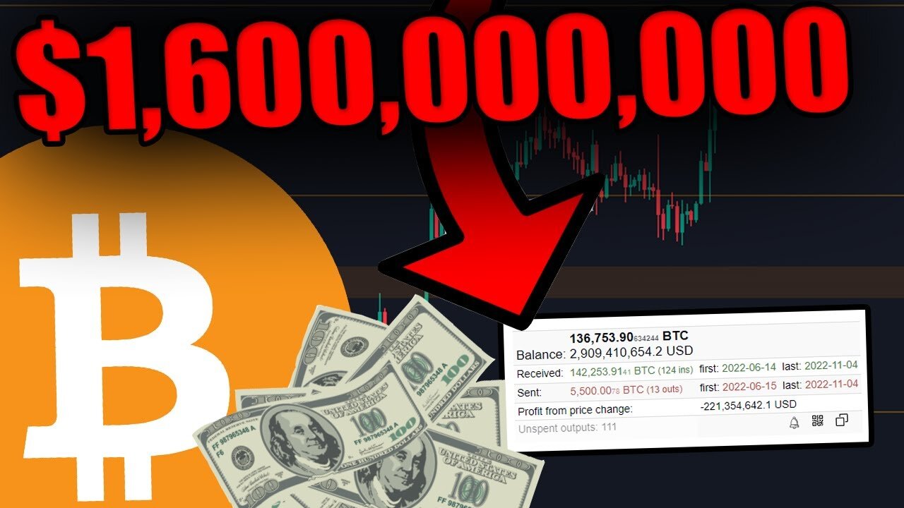 THIS CRAZY BITCOIN WHALE JUST MADE A $1,600,000,000 MOVE!