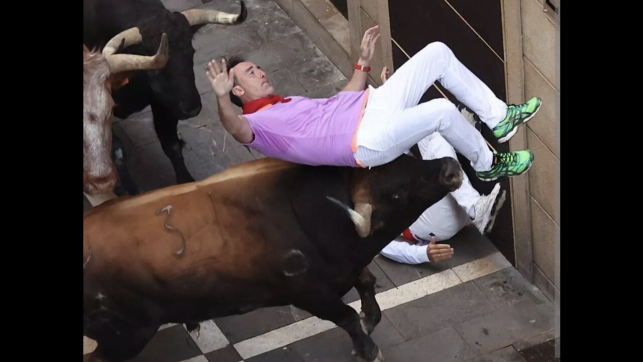 Dangerous Bull