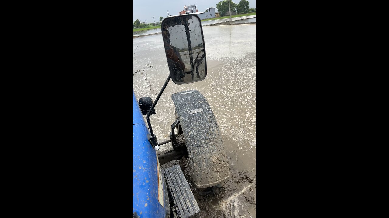 Paddy farming