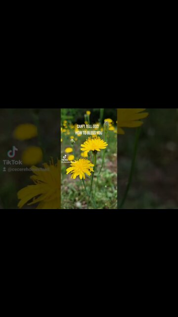 You Can't Tell God How to Bless You