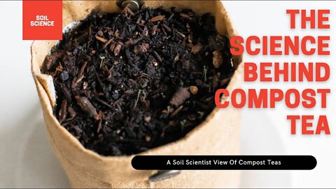 Does Compost Tea Actually Work? Soil Scientist Explains How Compost Tea Works | Gardening in Canada