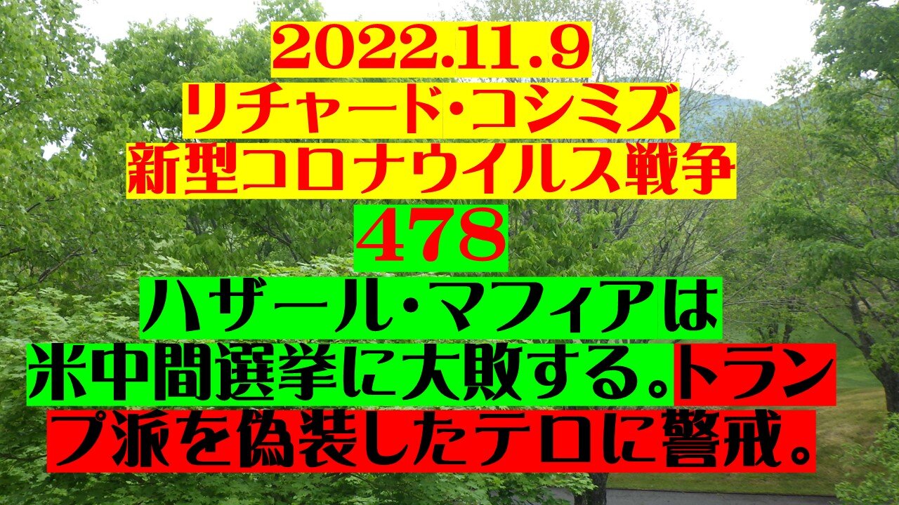 2022.１１．9 リチャード・コシミズ 新型コロナウイルス戦争 478