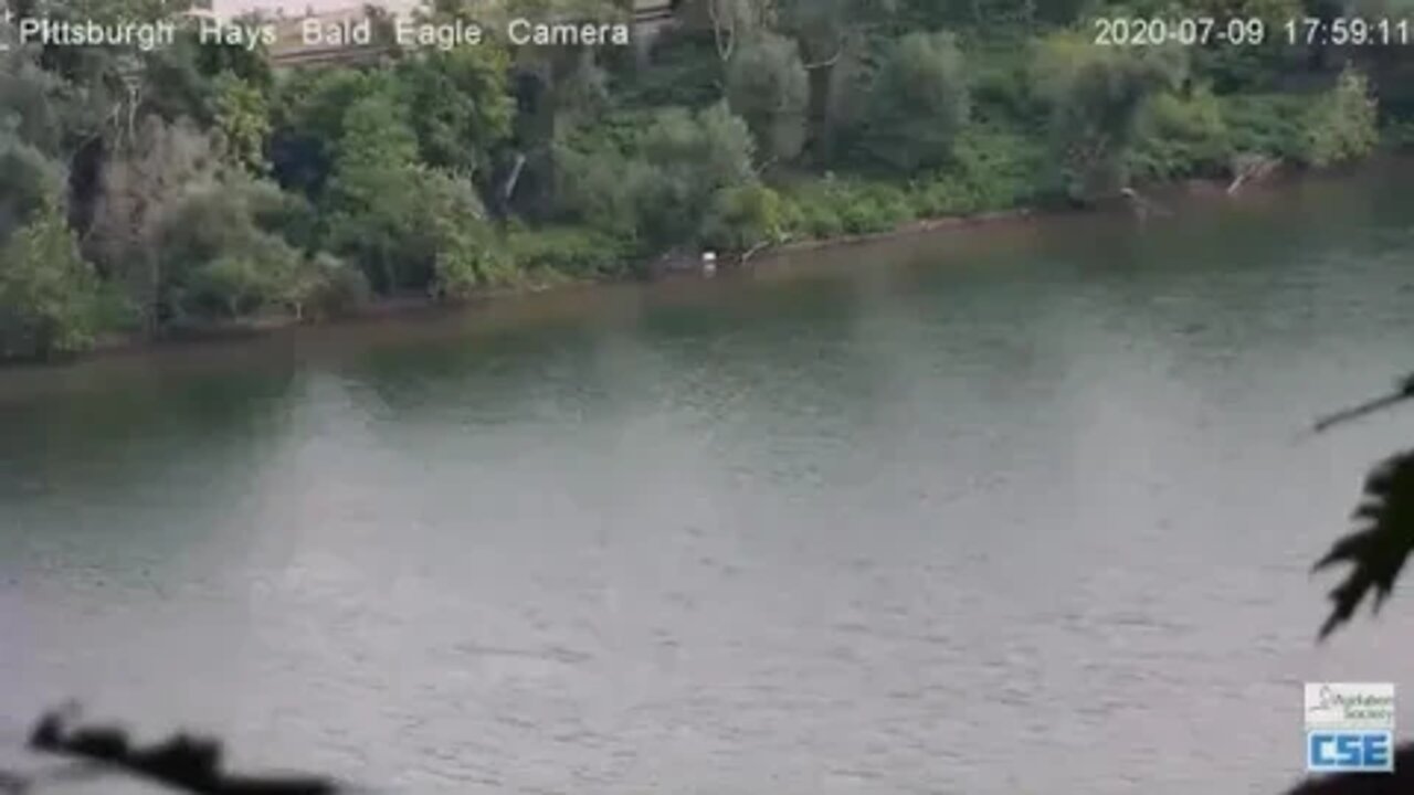 Hays Eagles H 12 does a flyby 7 9 20