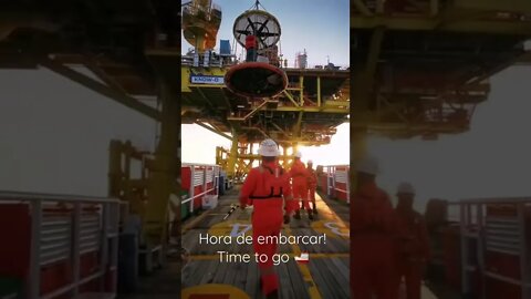 Embarque Raiz!