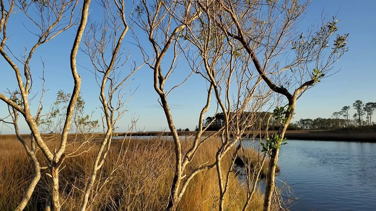 Skipper Bay Sunset with branches - Winter 2022