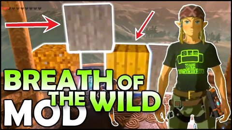 MOD: Minecraft Blocks in Breath of the Wild!