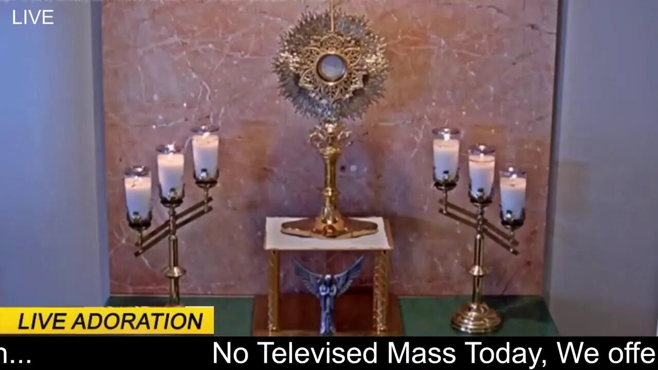 Please join me in this Holy Hour