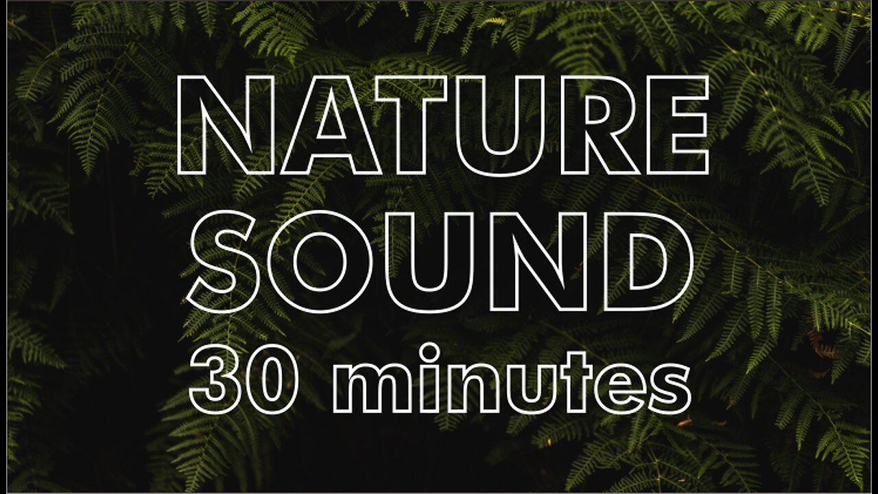 NATURE SOUND for RELAX MOMENT 30 MINUTES