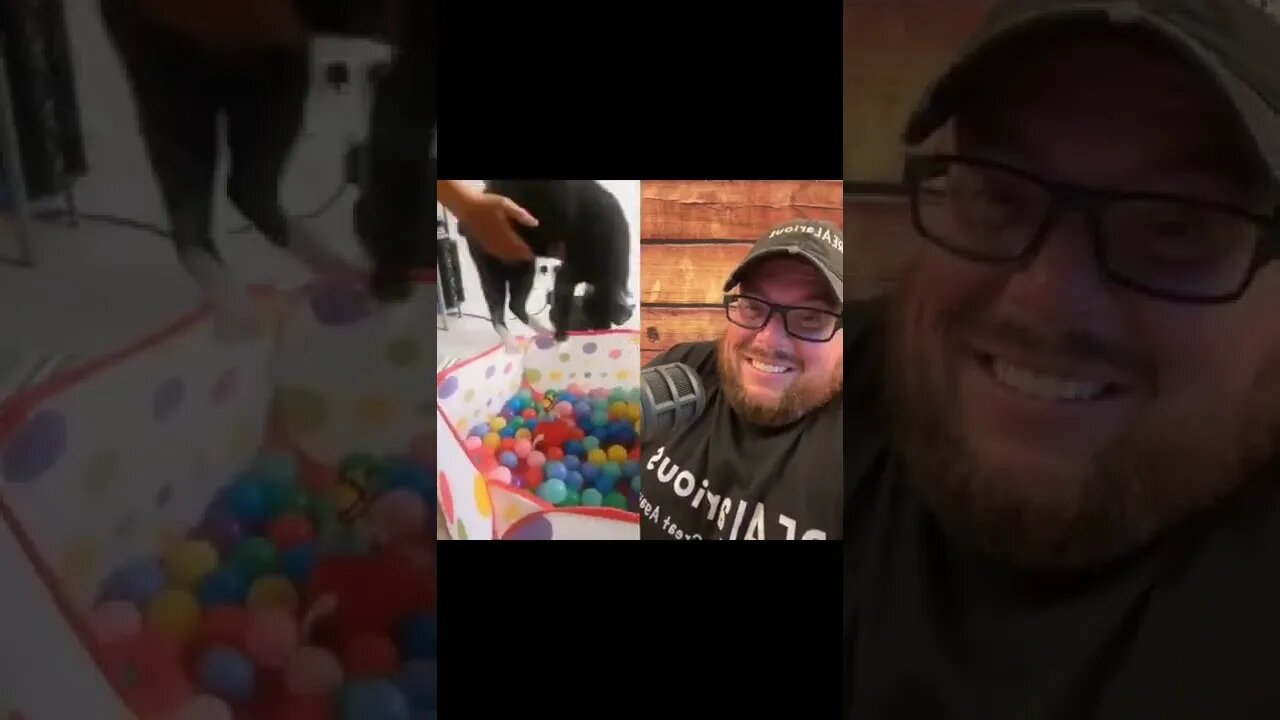 Here’s Your Dose Of REALarious…🤣🤣🤣