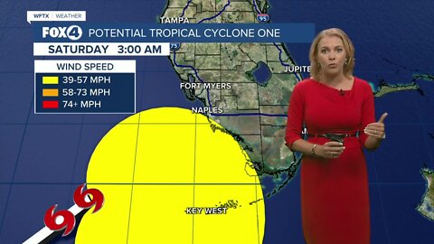 Tropical storm warnings in effect