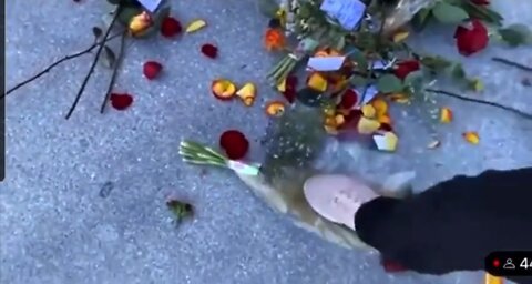 Unhinged Leftist Destroys Ashli Babbitt's Birthday Memorial