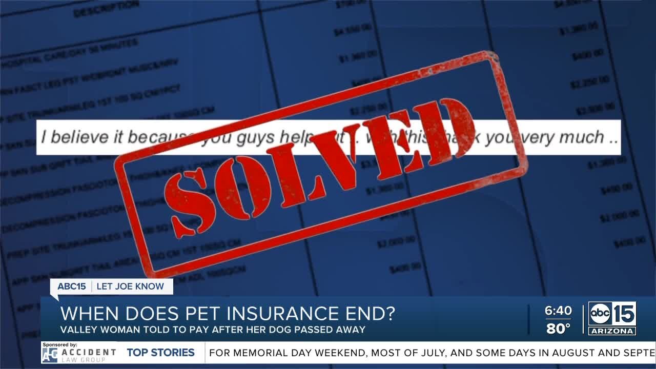 When does pet insurance end? Consumer told to pay even at death