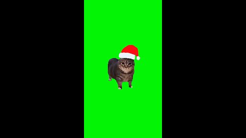 Oiiaoiia Christmas | Green Screen